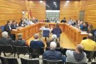Acords del Ple ordinari