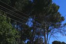 Endesa renova tecnològicament xarxa elèctrica de baixa tensió en zones boscoses del Baix Penedès