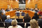Acords del Ple ordinari