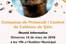 L’Ajuntament de l’Arboç engega una campanya de protecció i control de colònies de gats