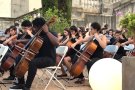 Concert solidari