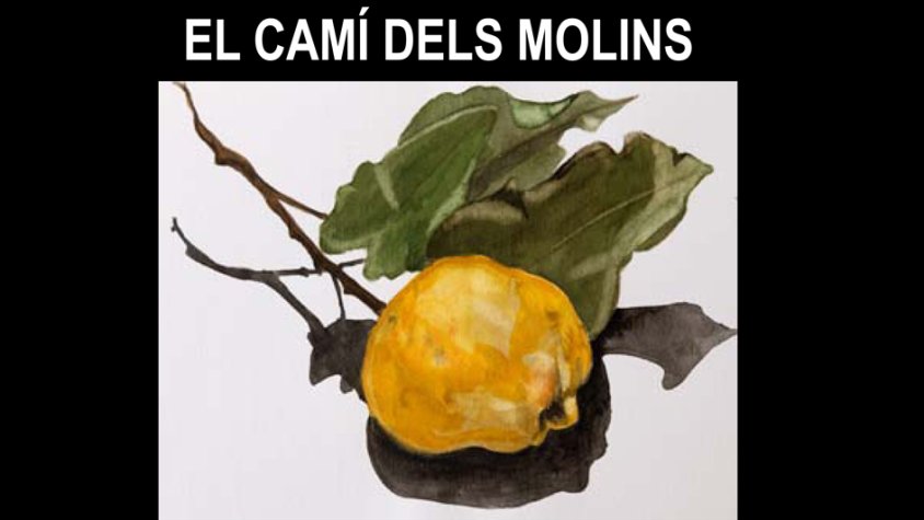La Sala Portal del Pardo acull la presentació del llibre i l’exposició “El camí dels molins” de Roser Guasch i Camil·la Pérez
