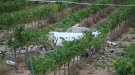 Dos morts en un accident d'una avioneta a Bonastre