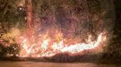Incendi de matolls a Coma-ruga