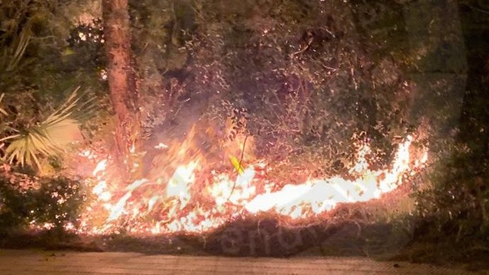 Imatge de les flamerades