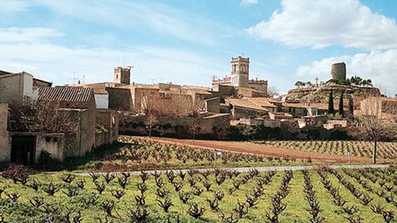 Una plataforma veïnal banyerenca vol prohibir la caça a tot el municipi de Banyeres del Penedès