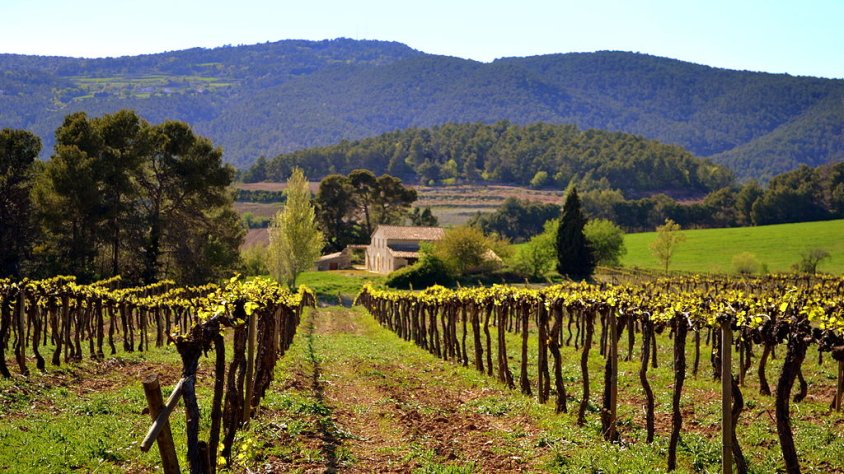 Posicionament de la junta directiva FEGP sobre la mobilitat a les comarques de la Vegueria Penedès