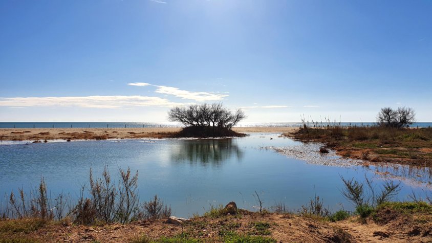 Imatge del Baix Penedès