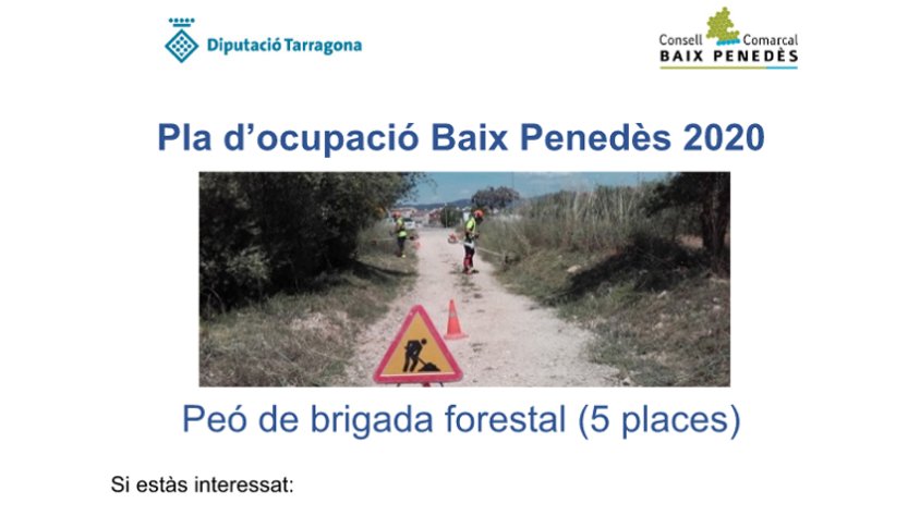 El Consell Comarcal del Baix Penedès ha d'incorporar 5 peons de brigada en el marc del pla d'ocupació Baix Penedès 2020 de la Diputació de Tarragona