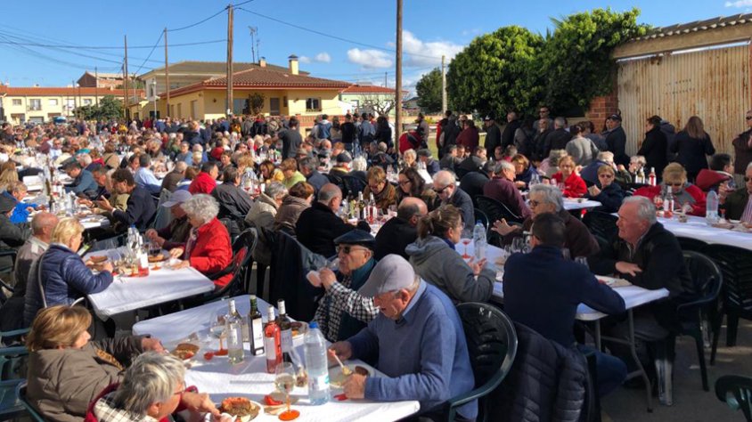 Èxit de participació en la Festa del Vi jove i l'Oli novell de Cellers Domenys