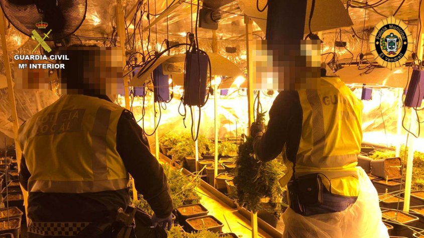 La Guàrdia Civil i la Policia Local del Vendrell desarticulen una plantació de marihuana