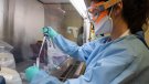 Una veïna del Vendrell, cinquè positiu per coronavirus a la demarcació de Tarragona 