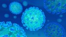 El municipalisme català promou un manifest unitari davant la crisi del coronavirus