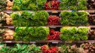 Unió de Pagesos obté el suport de les associacions de consumidors CUS i UCC per continuar insistint a demanar que els ajuntaments no impedeixin els mercats d'aliments a l'aire lliure