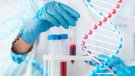 PCR i test ràpids per al diagnòstic del Covid-19 com funcionen i en què es diferencien?