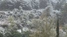La neu sorprèn a cotes de 400 metres d'altura algunes localitats del Camp de Tarragona