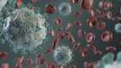 Sis morts i 82 nous casos de coronavirus a la demarcació de Tarragona