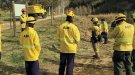 El Departament d'Agricultura convoca els ajuts destinats a les Agrupacions de Defensa Forestal