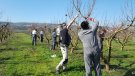 Les Escoles Agràries obren un nou període d'inscripció oferint formació a tots aquells joves que volen introduir-se al mercat laboral del sector agroalimentari