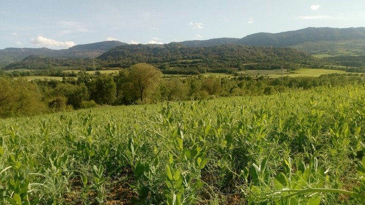 Unió de Pagesos pacta amb Jordà una moratòria d'un any en el pagament de crèdits per al sector de l'avellana