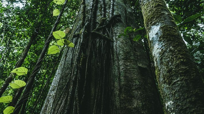 Unió de Pagesos exigeix al Govern els recursos necessaris per fer front a la gestió de la fauna salvatge i apel·la a la responsabilitat i el compromís dels caçadors per donar-hi resposta