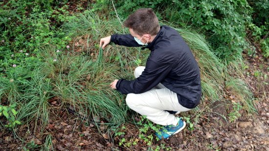 Mario Beltran, enginyer forestal del Centre de Ciència i Tecnologia Forestal de Catalunya,