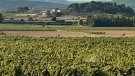 La CUP de l’Arboç denuncia la desídia i irresponsabilitat de l’ajuntament en la gestió territorial i urbanística