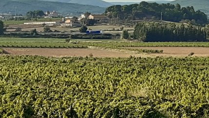 La CUP de l’Arboç denuncia la desídia i irresponsabilitat de l’ajuntament en la gestió territorial i urbanística