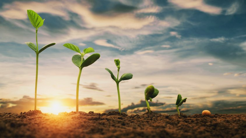 Un total de 42 comunitats de regants afectades pels aiguats d'octubre de 2019 i pel temporal Glòria de gener de 2020 han sol·licitat l'ajut del Departament d'Agricultura
