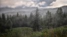 Més recursos que mai per afrontar la campanya forestal 2020
