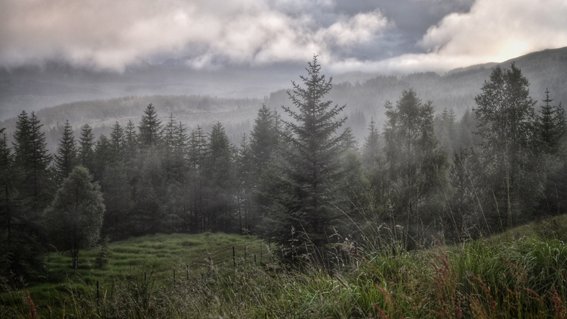 Més recursos que mai per afrontar la campanya forestal 2020
