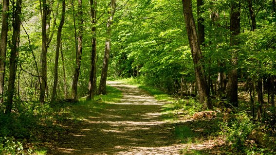 Unió de Pagesos valora que Agricultura hagi tingut en compte la demanda d’acotar a les terres de secà les restriccions de la sega i la recol·lecció d’herbacis