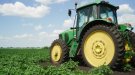 Unió de Pagesos demanarà ajuts a Agricultura per pal·liar les greus afectacions del míldiu a les vinyes