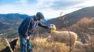 Agricultura convoca els ajuts a la compra de productes frescos a petits productors amb dificultats de comercialització derivats de la crisi de la COVID19 
