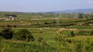 JxCat, ERC, PSC, ECP i CUP registren una iniciativa parlamentària per desplegar els Serveis Territorials al Penedès