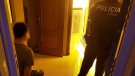 La Guàrdia Civil i la Policia Local de Calafell desmantellen una plantació de marihuana