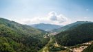 Crear paisatges menys inflamables reduiria a la meitat l'àrea que es cremarà els pròxims 30 anys