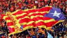 El Consell Comarcal del Baix Penedès suspèn els actes de celebració de la Diada d'enguany