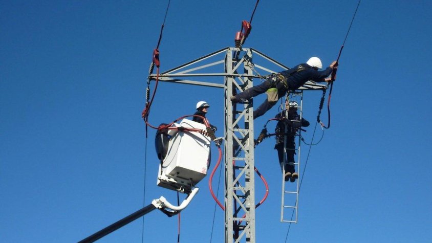 Treballs a la xarxa elèctrica per reduir les col·lisions de les aus