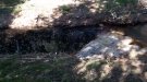L’ajuntament de Banyeres del Penedès denuncia abocaments il·legals a la Riera de Sant Miquel