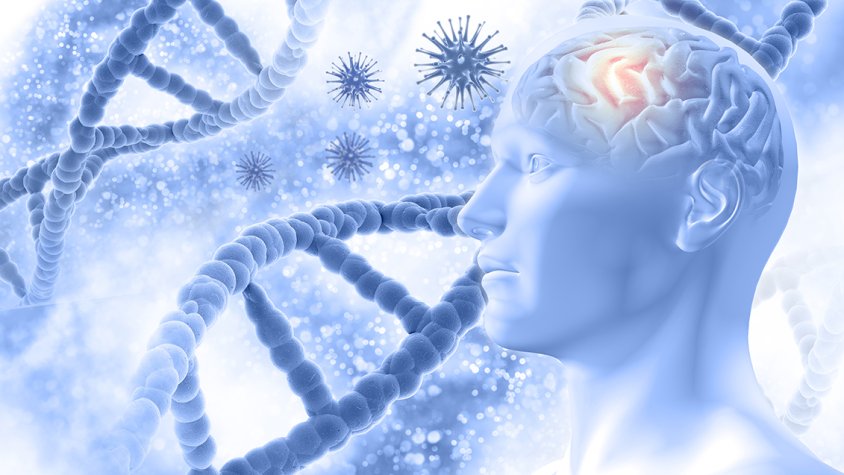 Identifiquen com detectar la fase inicial de l'Alzheimer a través de la sang i el líquid cefalorraquidi