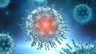 Una empresa biotecnològica catalana desenvolupa un test sanguini per detectar la covid