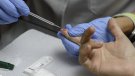 SATSE rebutja fer proves de detecció de covid-19 a farmàcies perquè comporta 