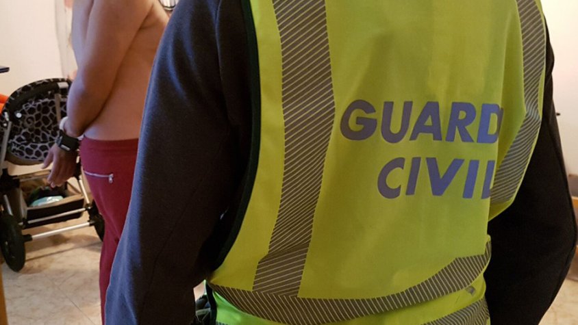 La Guàrdia Civil desmantella dues plantacions de marihuana amb més de 800 plantes a Santa Oliva