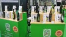 Les 347 empreses productores d'oli d'oliva que hi ha a Catalunya facturen 863 MEUR