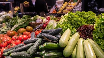 El Departament d'Agricultura reforça el seu compromís en la continuïtat i la competitivitat de les cooperatives agràries
