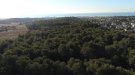 El Baix Penedès continua creixent de forma insostenible: Cunit aprova la urbanització de 91.098 m2 de bosc de pineda mediterrània