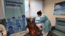 Espanya registra 84.287 nous positius per covid-19 i 455 noves morts