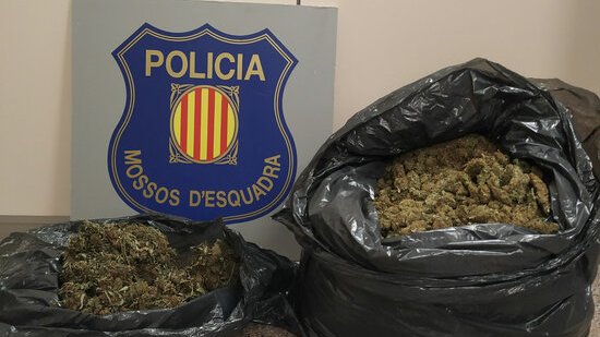 Els Mossos enxampen dos homes a Cunit amb set quilos de cabdells de marihuana dins el cotxe