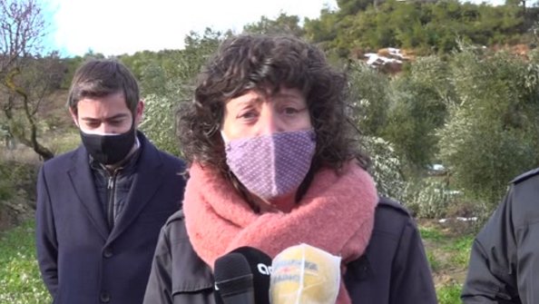 Agricultura estima que la nevada del temporal Filomena ha afectat unes 46.000 hectàrees d'oliveres